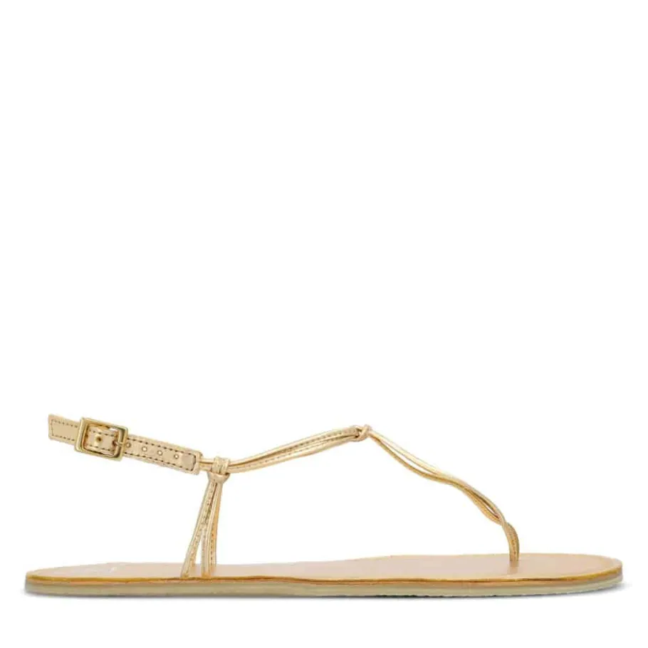 Discount Groundies ® Amalfi Women Gold
